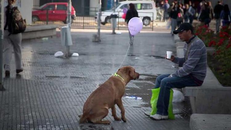 Konuşma balonları boyunlarında...