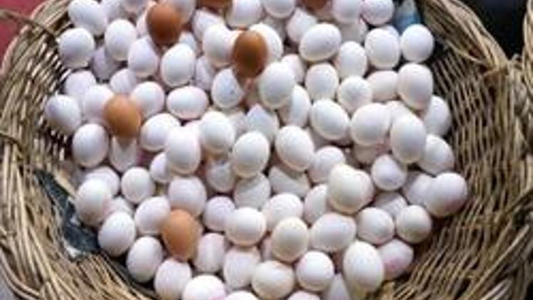 Tavuk yumurtası üretimi 2011de yüzde 9.4 arttı