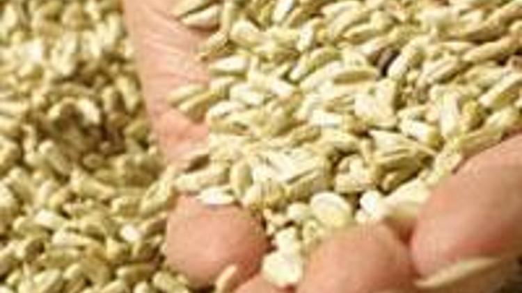 Türkiyede GDO tohumu üretimi ve ithalatı yapılmamaktadır