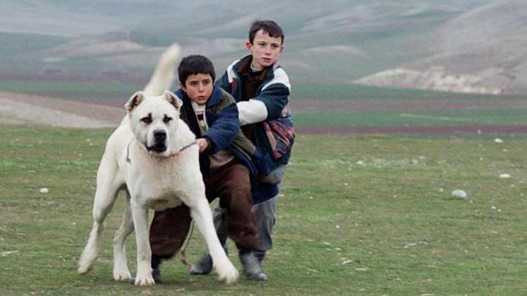 Sivas filminin Çakırı dava konusu oldu