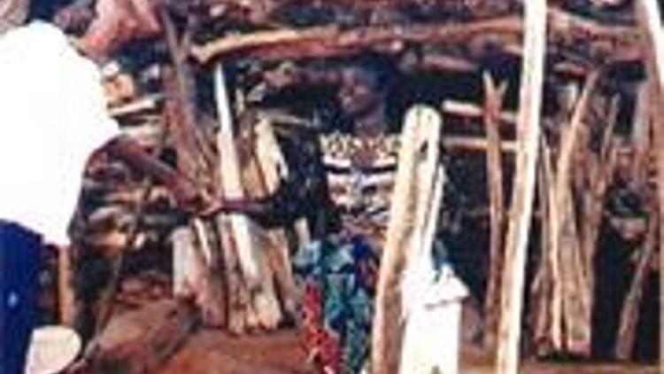 Kamerunlu Manka Akombo’ya odun alması için mikrokredi verdim