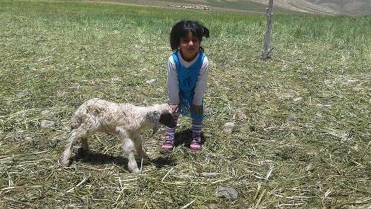 Kayıp Nehiri 8inci gününde jandarma ve polis arıyor