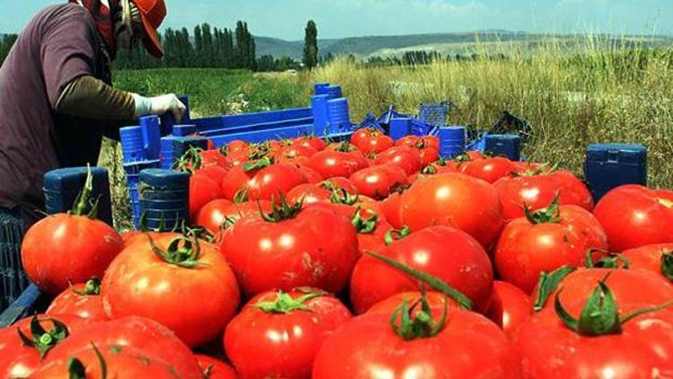 Yetkin: Gıda ihracatı yara alır