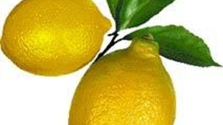 Limonun kabuğu kıymete bindi