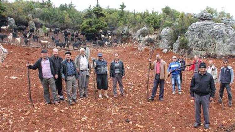 Dört boynuzlu yılan gerçek mi