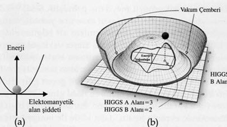 Higgs Alanı ve Yaradılış