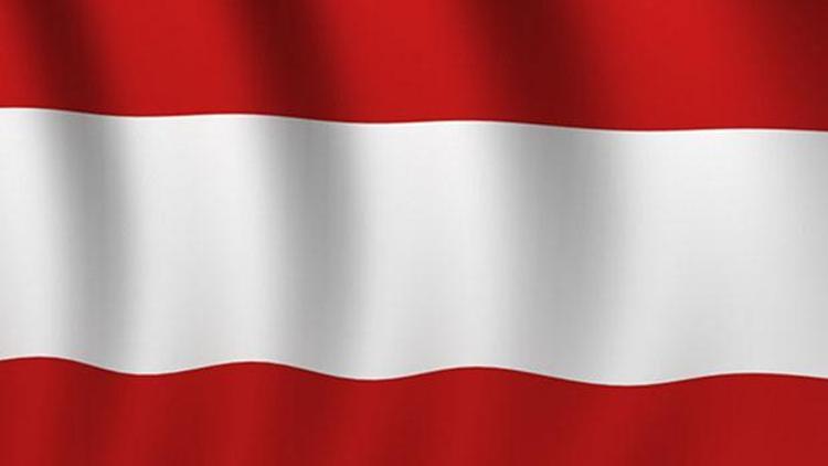 Avusturya Özgürlük Partisi oylarını artırdı