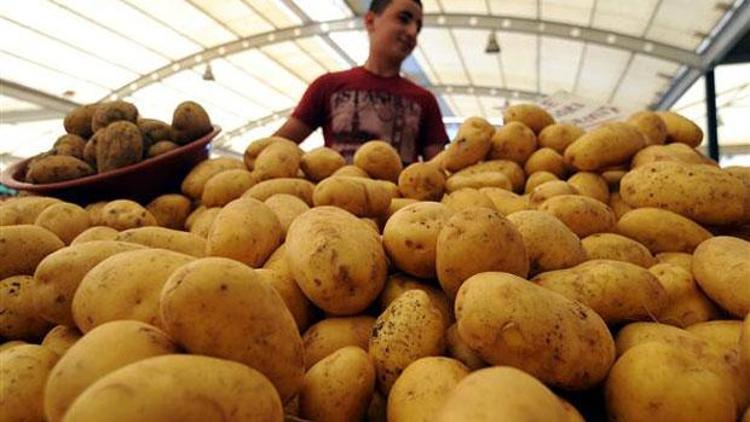Patateste planlı üretim şart