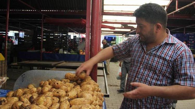 Patates nihayet yaz tarifesine geçti