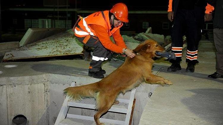 Hayatı kurtuldu şimdi o hayat kurtaracak