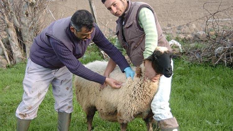 Bütün köy karantina altına alındı