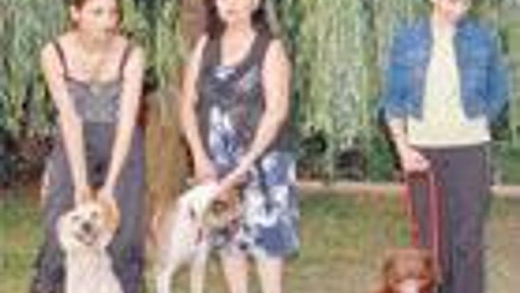 Boğaz’daki esrarengiz köpek katilini bulun