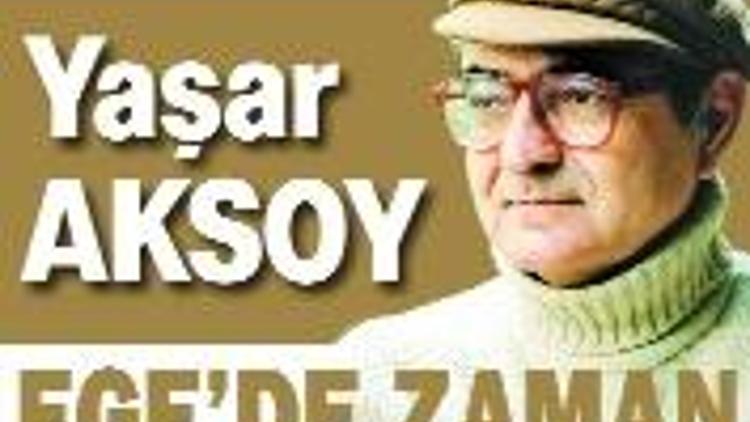 Hizmet aşığı Sara Pardo