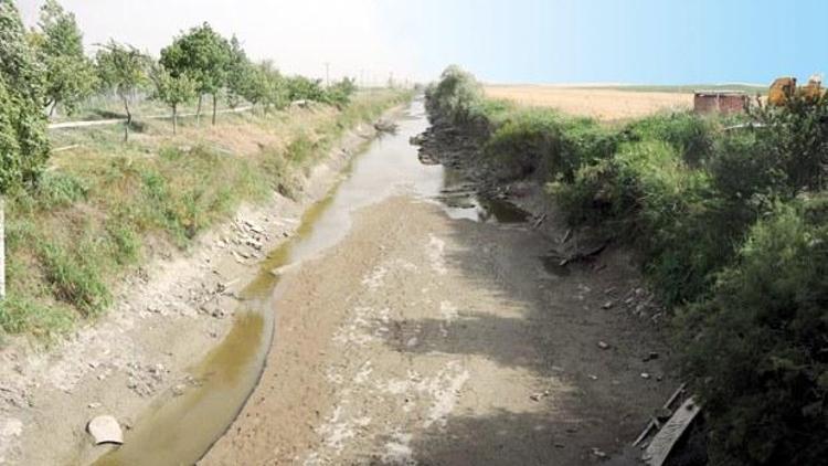 İstanbulun barajlarının yarısı doldu