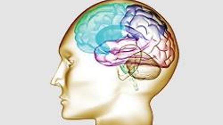 Parkinson için ‘beyin bankası’