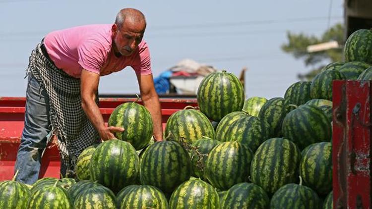 Kabak karpuz isyanı