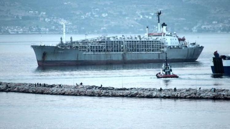 Bandırma Limanı, 9 bin büyükbaş hayvan gelince koktu