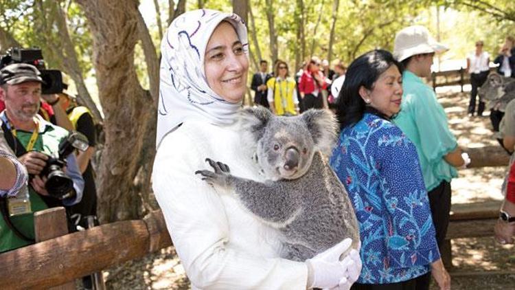 Koala Parkı gezisi