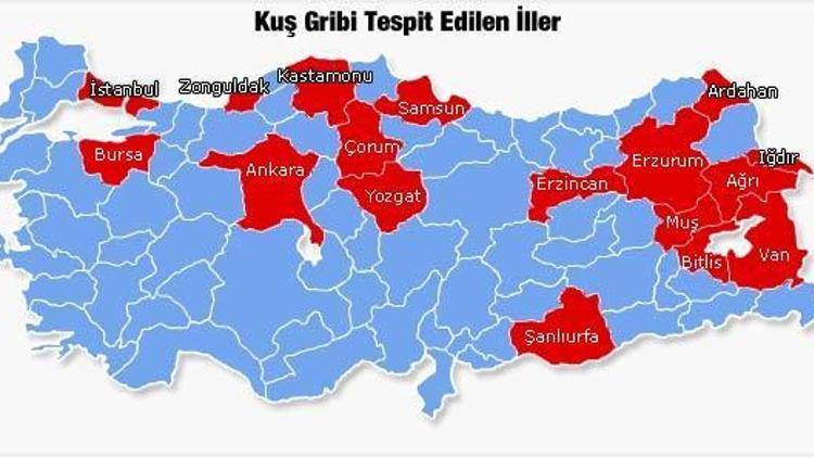 Kuş gribi yayılıyor