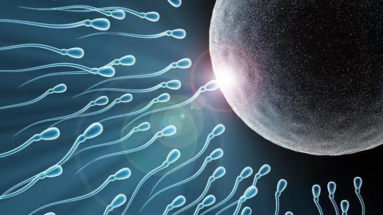 Sperm tahlili isyanı
