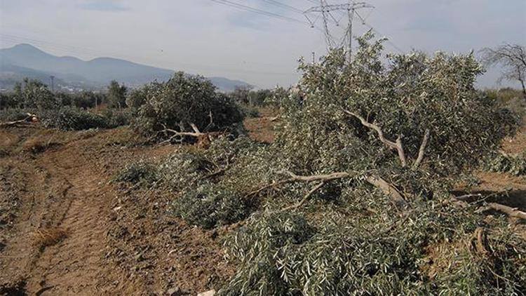 Enerji Bakanı bir de bizi dinlesin