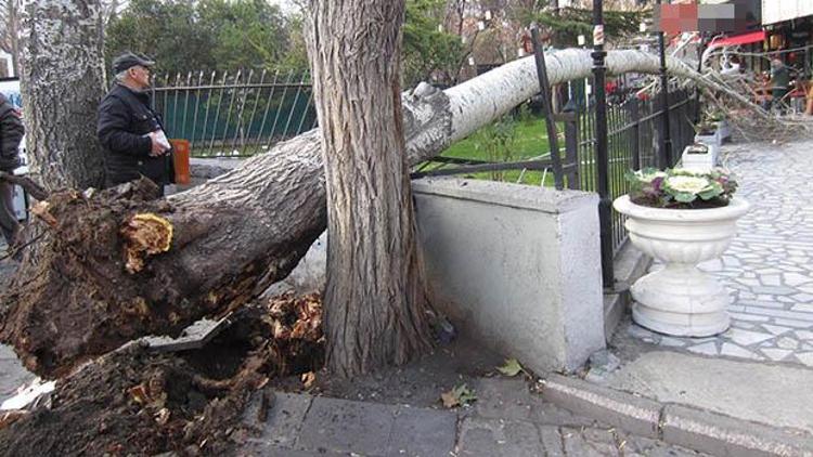 Kuğulu’da kaza ‘geliyorum’ demiş