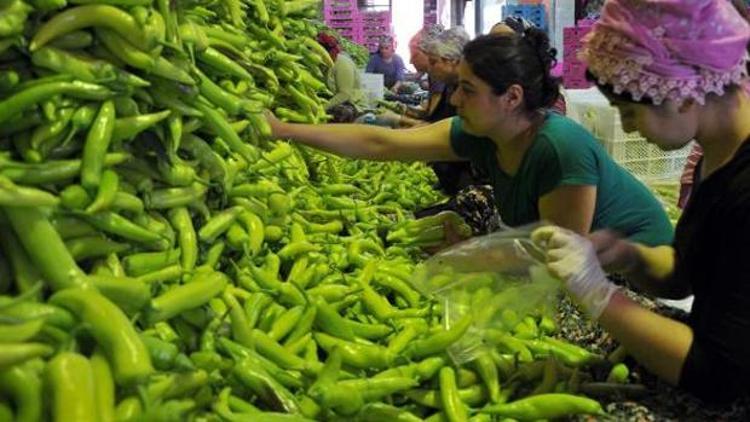 Bursanın meyve-sebze mamulleri Irak pazarına aktı