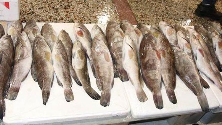 Yozgattan Arap ülkelerine balık ihracatı