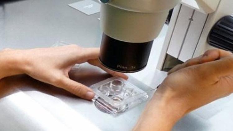Tıp dünyasında dev buluş: Mikro akışkan çip teknolojisi