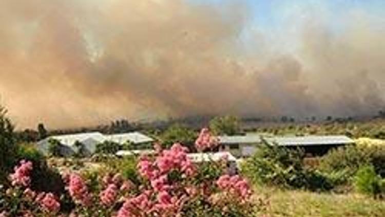 Gelibolu’daki orman yangını sabotaj mı