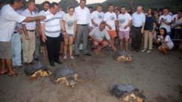 Caretta carettalar izleniyor