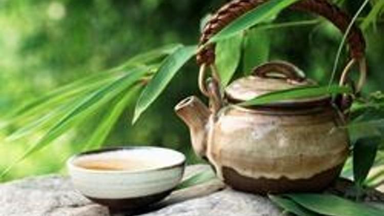 Yeşil çay mucizesi kanıtlandı