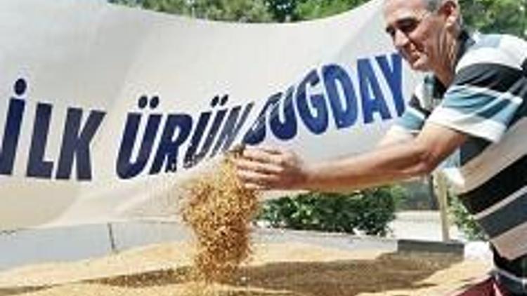 Polatlı’da ilk buğday satıldı