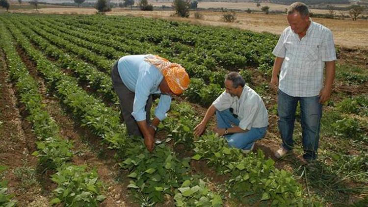 Kredi ödemede en sıkıntılı Hatay çiftçisi