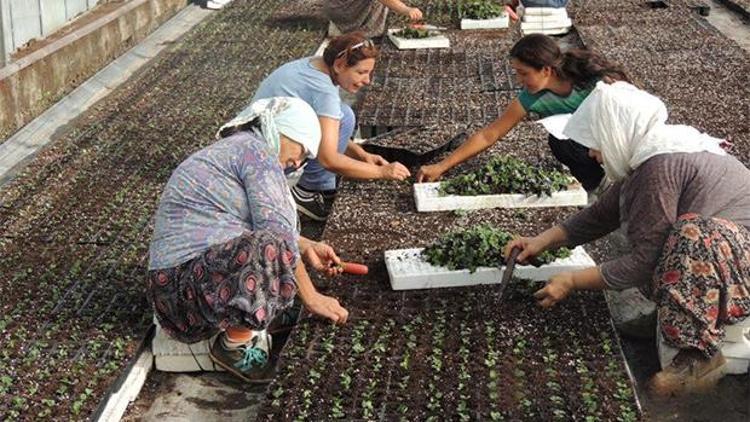 İZKA onaylarsa Büyükşehir de destek verecek