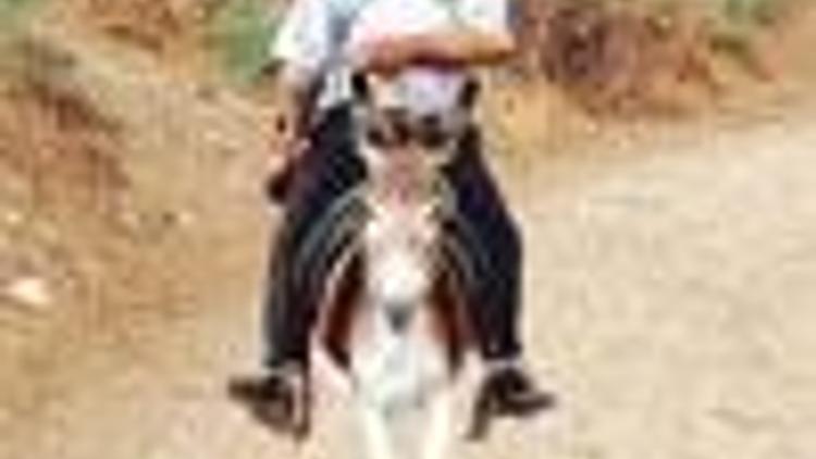 Guard put on donkey patrol as punishment