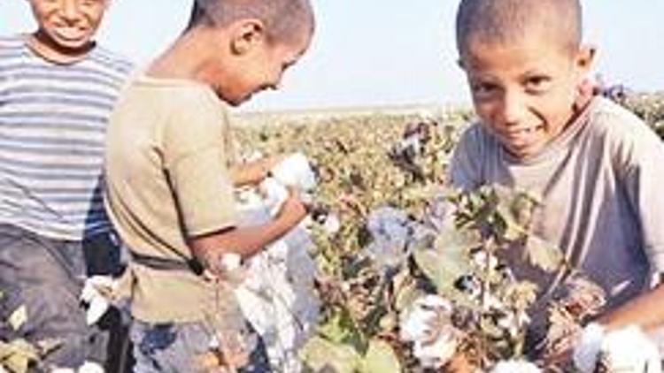 ABD, sekiz üründe çocuk emeği izi sürdü Türkiye bozuldu