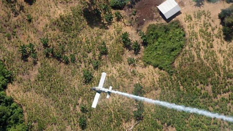 Kolombiyada uyuşturucu taşıyan küçük uçak düştü