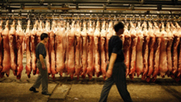 Çinde fare ve tilki eti skandalı