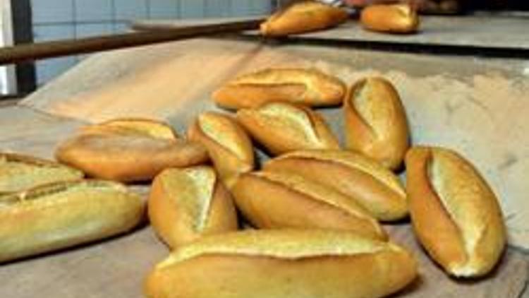 Balcı: Günlük 6 milyon ekmeği israf ediyoruz