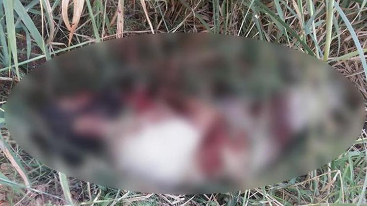 Anadolu Ajansı IŞİDlinin ceset fotoğrafını yayınladı