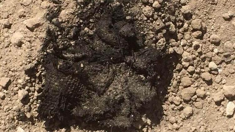 Laodikyada bin 500 yıllık kumaş parçası bulundu