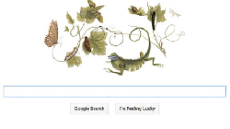 Googledan Maria Sibylla Merianın duğumgünü için özel doodle