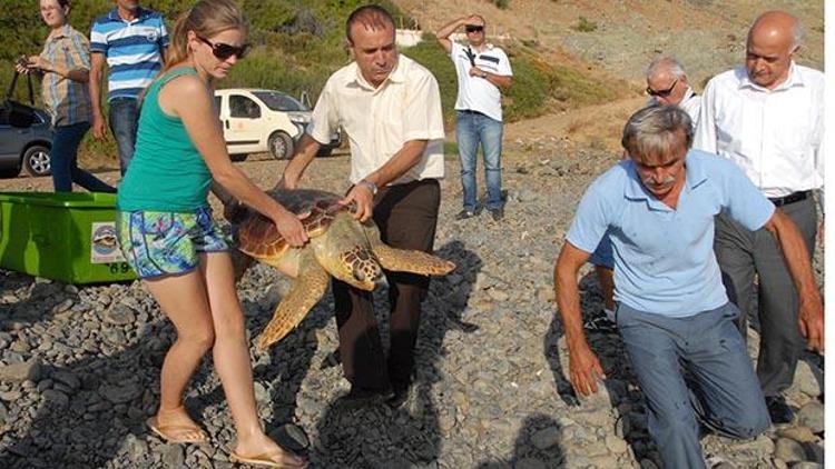 Carettaları özgürlüğüne kavuşturdu