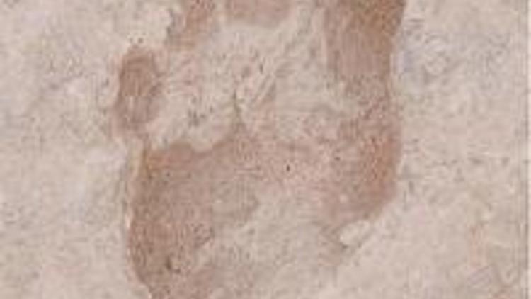 1.5 milyon yıllık ayak izi bulundu