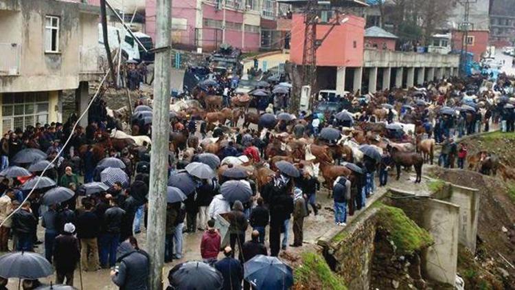 Katırlı protesto