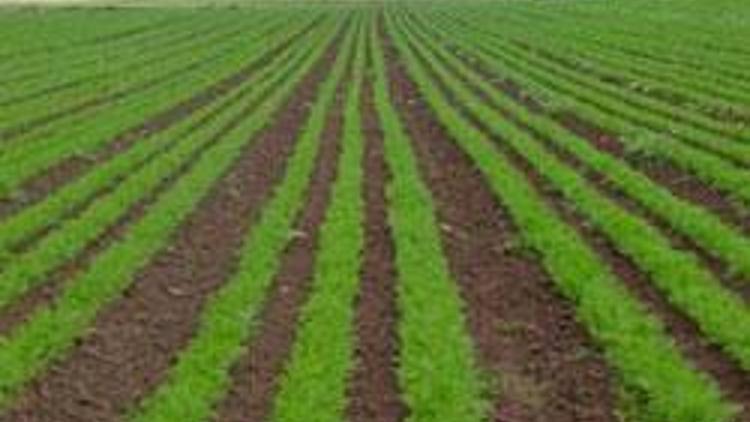Organik tarımı destekleme tutarları açıklandı