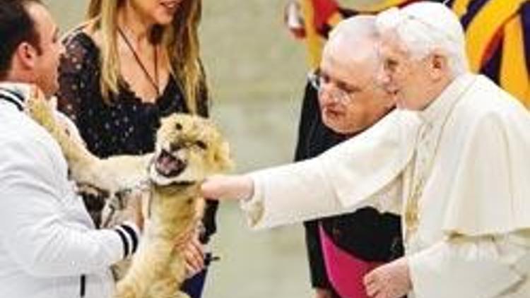 Papa sirk derdinde hayvansever eylemde