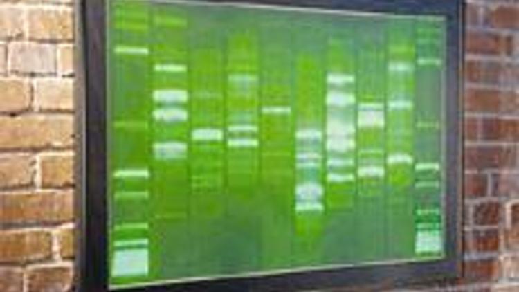 Duvarınıza DNA’nızın tablosu