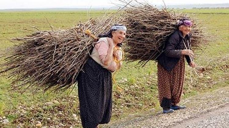 Bu şehirde kadınlar daha uzun yaşıyor